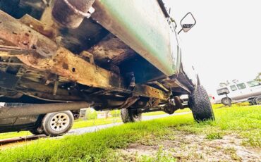 Chevrolet-CK-Pickup-1500-1969-Standard-Cab-Pickup-20