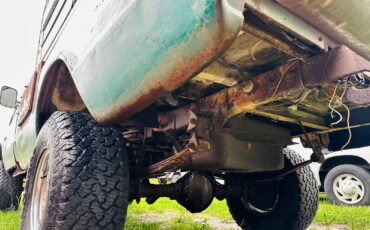 Chevrolet-CK-Pickup-1500-1969-Standard-Cab-Pickup-29