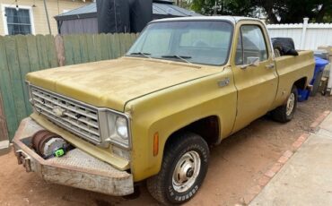 Chevrolet-CK-Pickup-1500-1976-Standard-Cab-Pickup-1