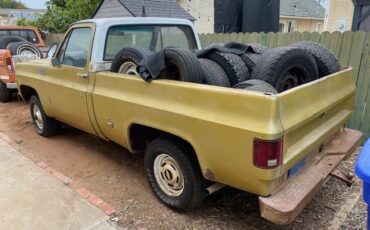 Chevrolet-CK-Pickup-1500-1976-Standard-Cab-Pickup-2