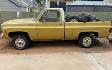 Chevrolet-CK-Pickup-1500-1976-Standard-Cab-Pickup