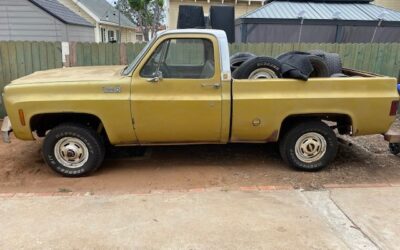 Chevrolet C/K Pickup 1500 1976 Standard Cab Pickup