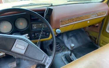 Chevrolet-CK-Pickup-1500-1976-Standard-Cab-Pickup-5