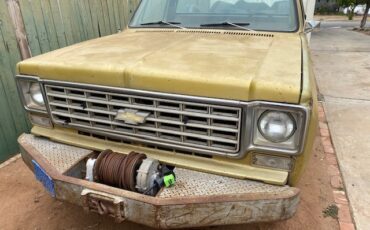Chevrolet-CK-Pickup-1500-1976-Standard-Cab-Pickup-7
