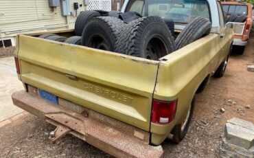 Chevrolet-CK-Pickup-1500-1976-Standard-Cab-Pickup-8