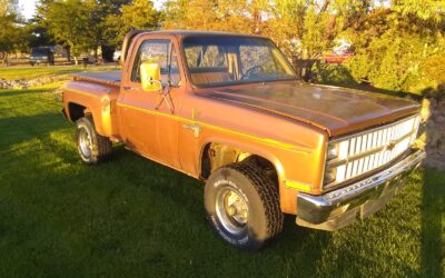 Chevrolet C/K Pickup 1500 1981 Standard Cab Pickup