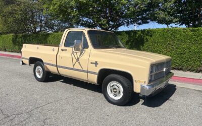 Chevrolet C/K Pickup 1500 1982