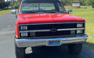 Chevrolet-CK-Pickup-1500-1983-Standard-Cab-Pickup-10