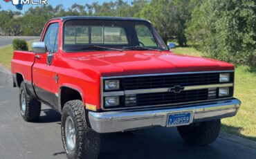 Chevrolet-CK-Pickup-1500-1983-Standard-Cab-Pickup-11
