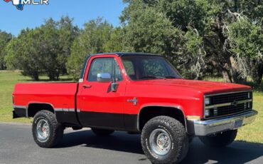 Chevrolet-CK-Pickup-1500-1983-Standard-Cab-Pickup-12