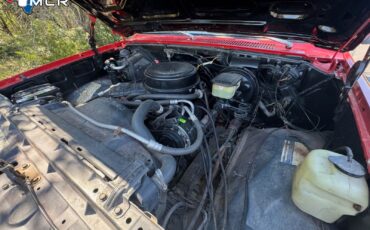 Chevrolet-CK-Pickup-1500-1983-Standard-Cab-Pickup-19