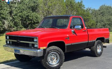 Chevrolet-CK-Pickup-1500-1983-Standard-Cab-Pickup-23