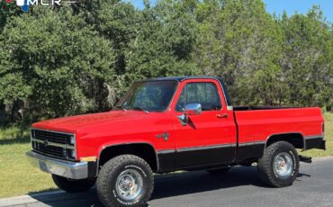 Chevrolet-CK-Pickup-1500-1983-Standard-Cab-Pickup-5