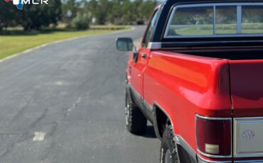 Chevrolet-CK-Pickup-1500-1983-Standard-Cab-Pickup-8