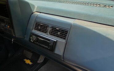 Chevrolet-CK-Pickup-1500-1989-Standard-Cab-Pickup-23