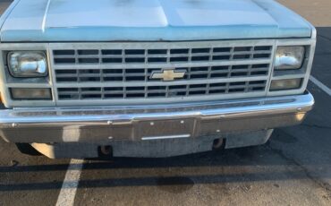 Chevrolet-CK-Pickup-1500-1991-4