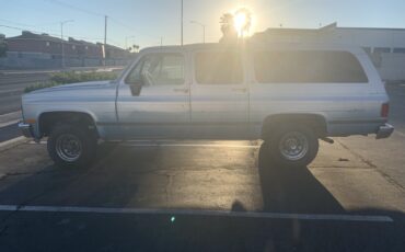 Chevrolet-CK-Pickup-1500-1991-5