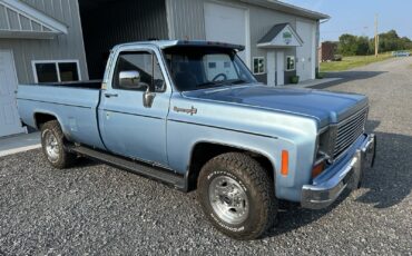Chevrolet-CK-Pickup-2500-1973-Standard-Cab-Pickup-1