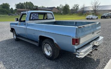 Chevrolet-CK-Pickup-2500-1973-Standard-Cab-Pickup-3