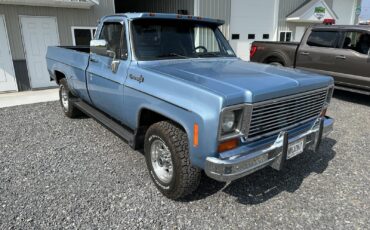 Chevrolet-CK-Pickup-2500-1973-Standard-Cab-Pickup-6