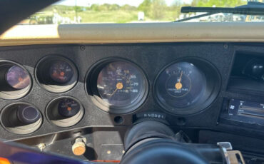Chevrolet-CK-Pickup-2500-1984-Standard-Cab-Pickup-10