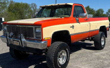 Chevrolet-CK-Pickup-2500-1984-Standard-Cab-Pickup-2