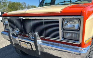 Chevrolet-CK-Pickup-2500-1984-Standard-Cab-Pickup-23