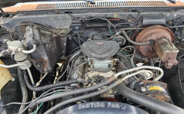 Chevrolet-CK-Pickup-2500-1986-2