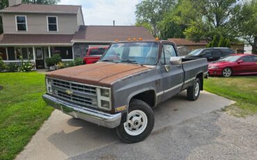 Chevrolet-CK-Pickup-2500-1986