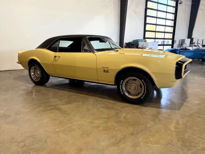 Chevrolet-Camaro-1967-Butternut-Yellow-Black-Vinyl-1