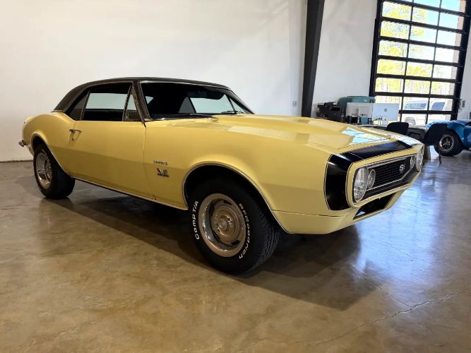 Chevrolet-Camaro-1967-Butternut-Yellow-Black-Vinyl-18