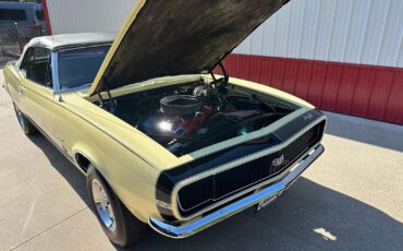 Chevrolet-Camaro-1967-Convertible-25