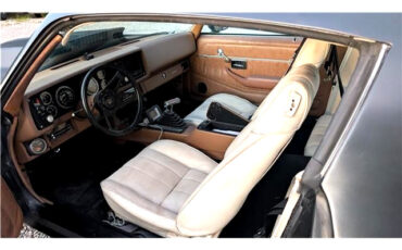 Chevrolet-Camaro-1979-CLASSIC-CAR-11
