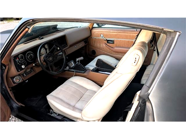 Chevrolet-Camaro-1979-CLASSIC-CAR-11