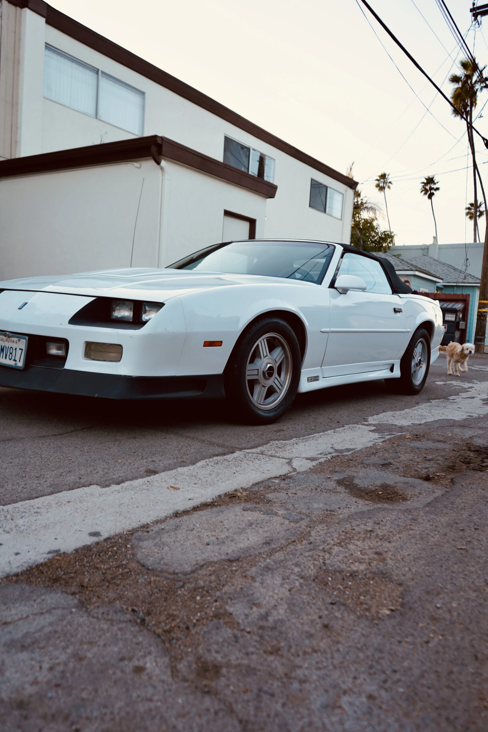 Chevrolet-Camaro-convertible-1991-White-Blue-3