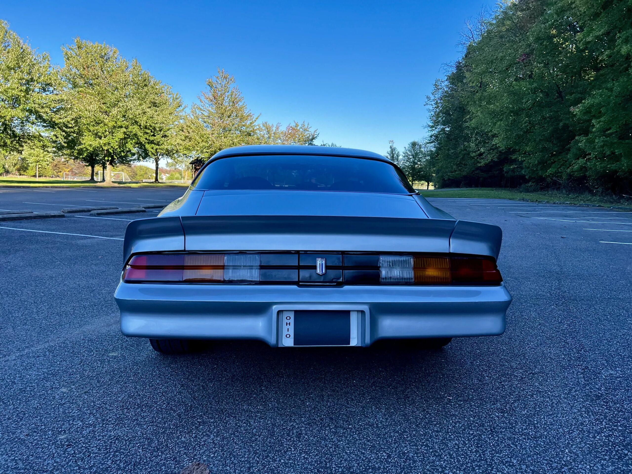Chevrolet-Camaro-coupe-1979-Gray-Blue-1