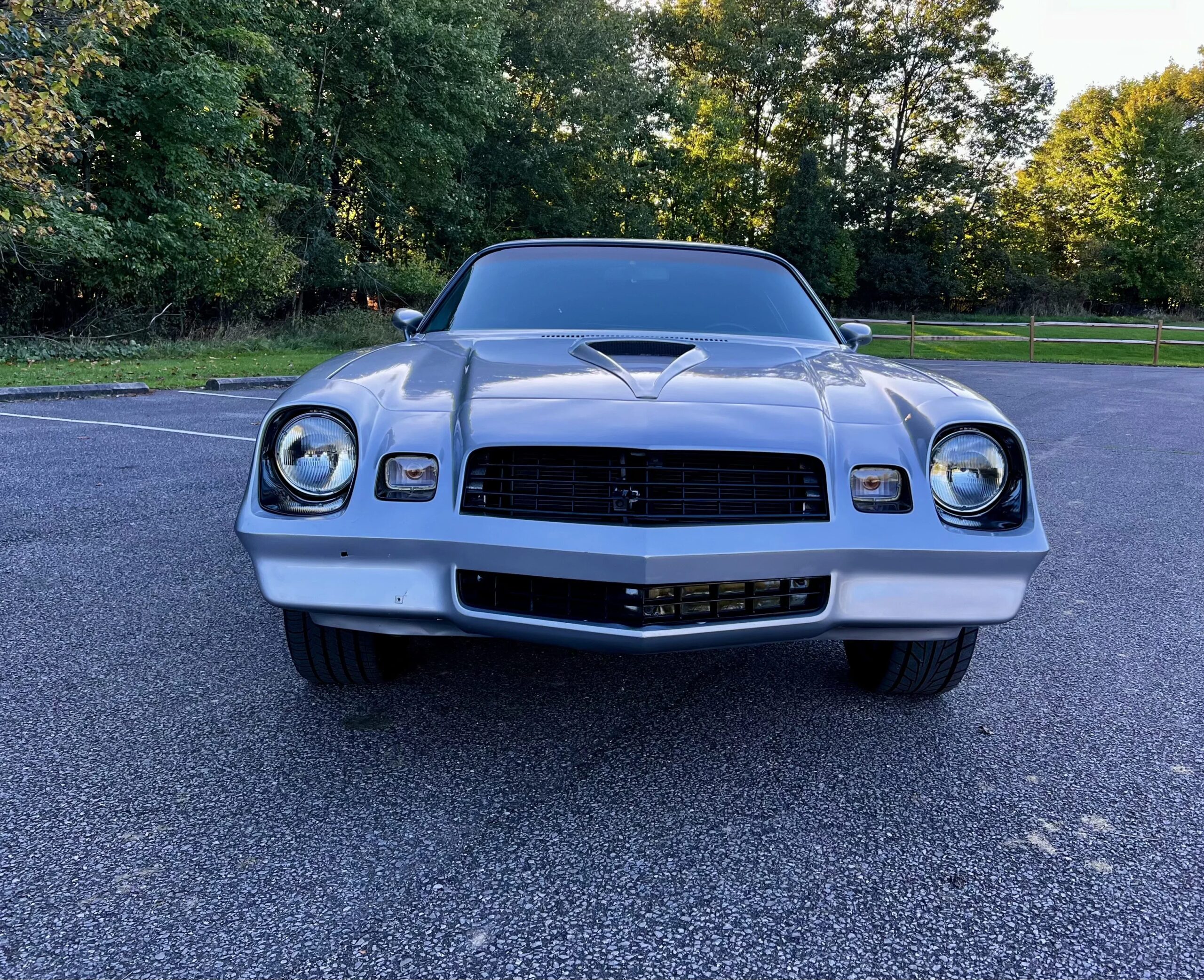 Chevrolet-Camaro-coupe-1979-Gray-Blue-6