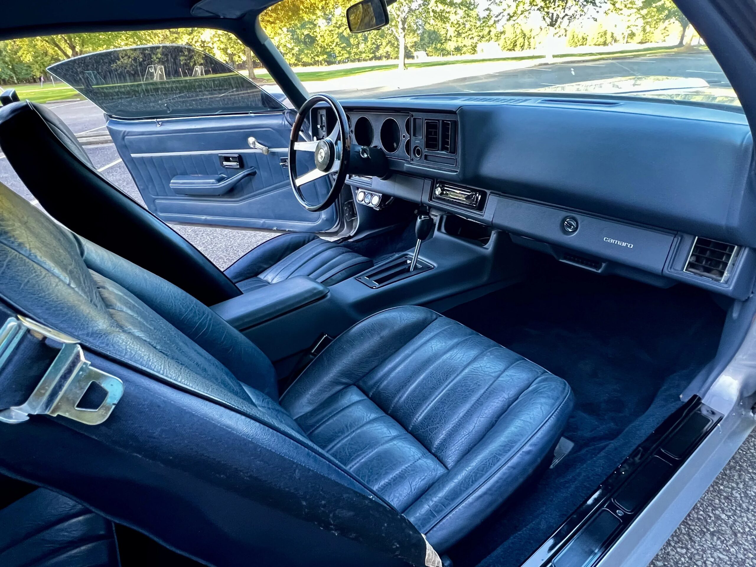 Chevrolet-Camaro-coupe-1979-Gray-Blue-8
