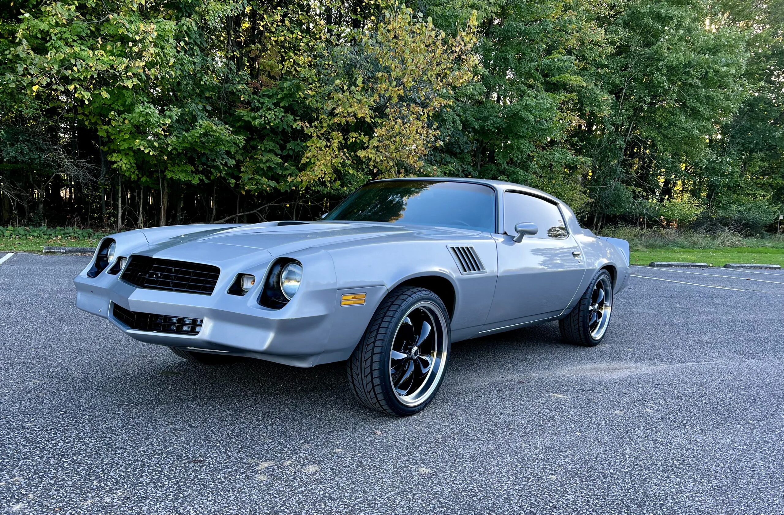 Chevrolet-Camaro-coupe-1979-Gray-Blue