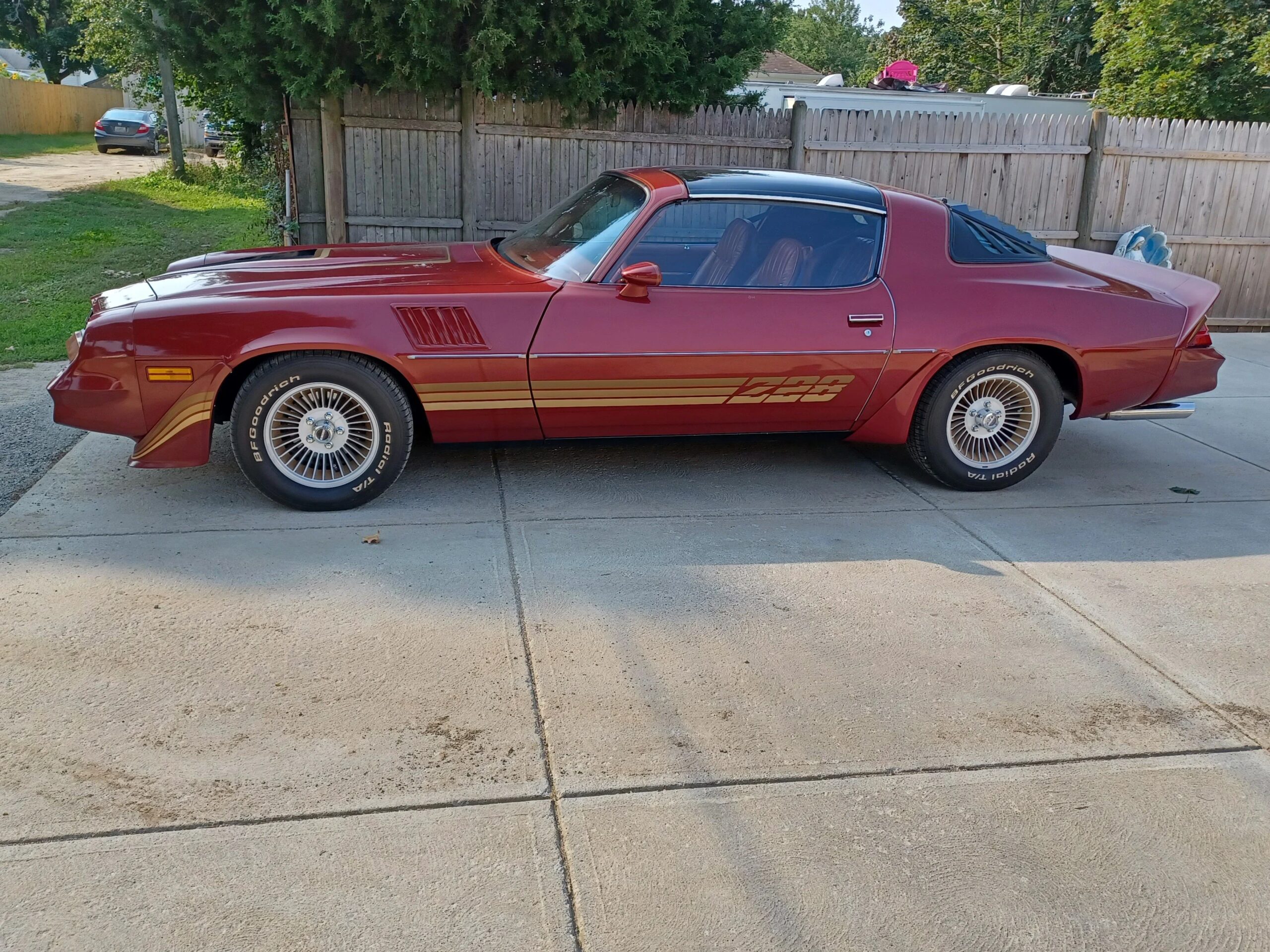 Chevrolet-Camaro-coupe-1979-Other-Red-10