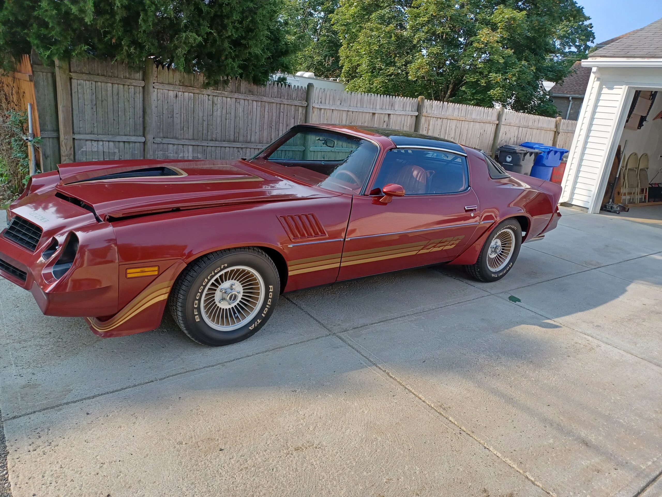 Chevrolet-Camaro-coupe-1979-Other-Red-16