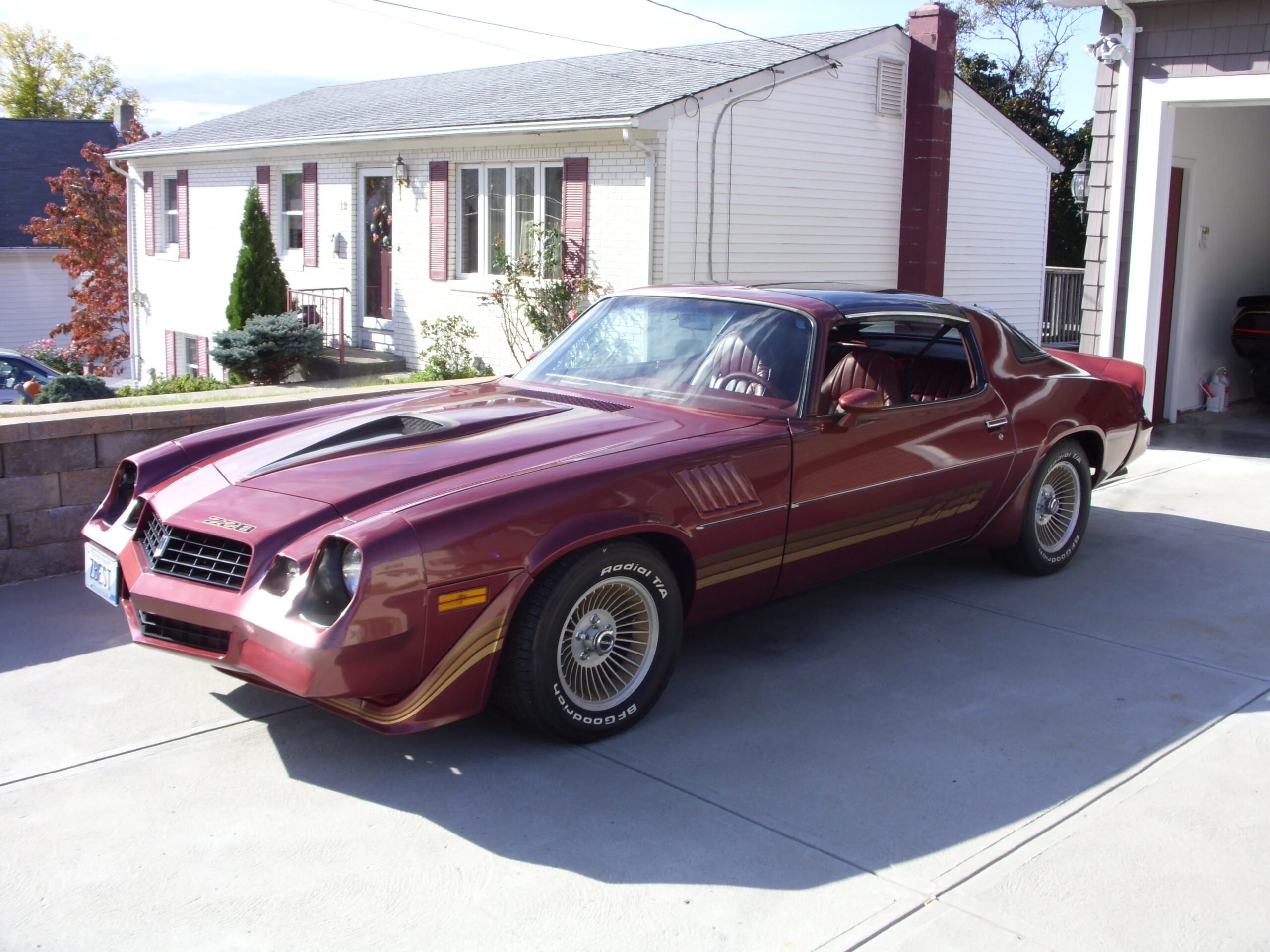 Chevrolet-Camaro-coupe-1979-Other-Red-8