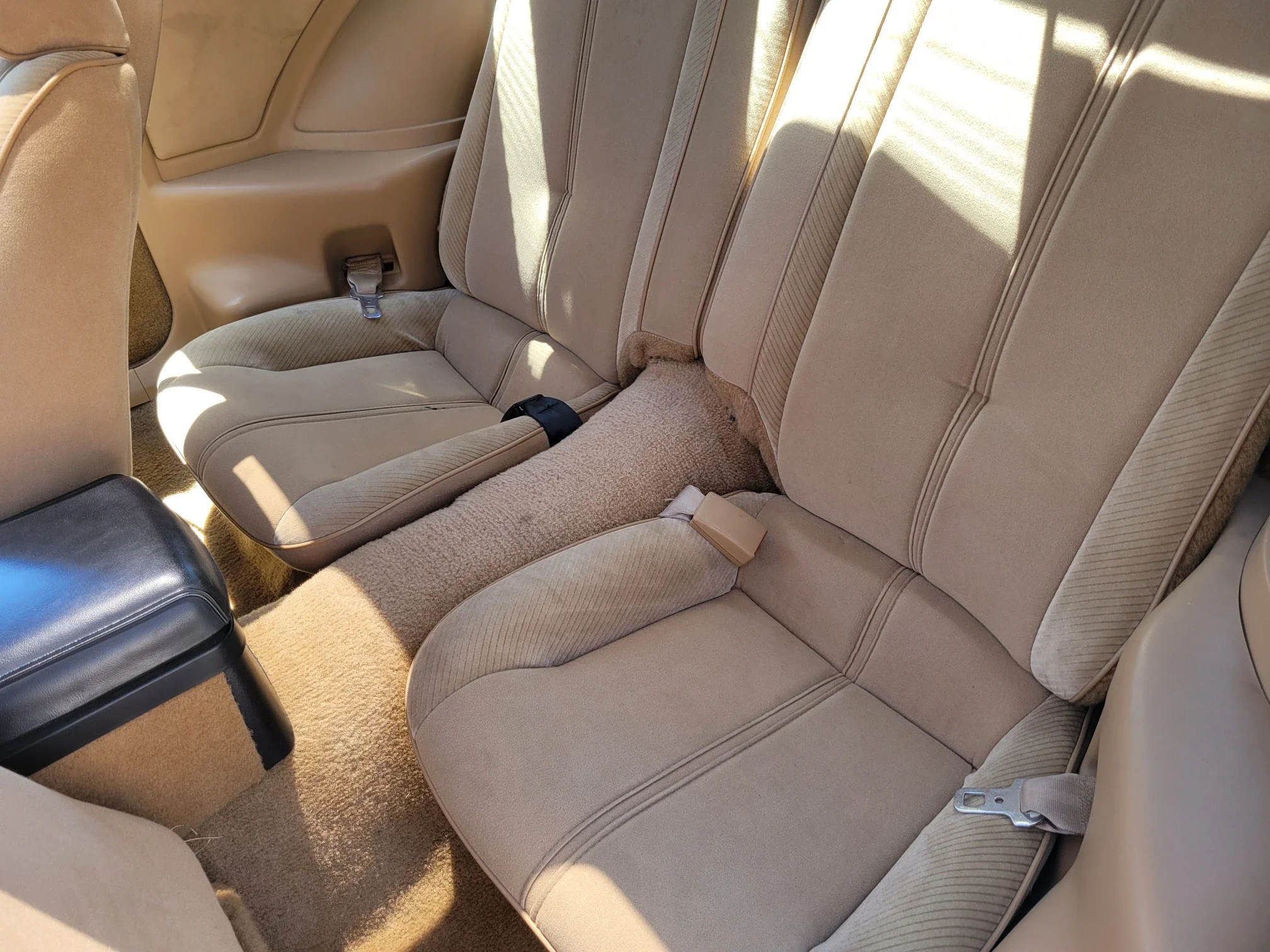 Chevrolet-Camaro-iroc-z-coupe-1986-White-Tan-11