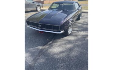 Chevrolet-Camaro-rsss-1967-Royal-Plum-Black-13