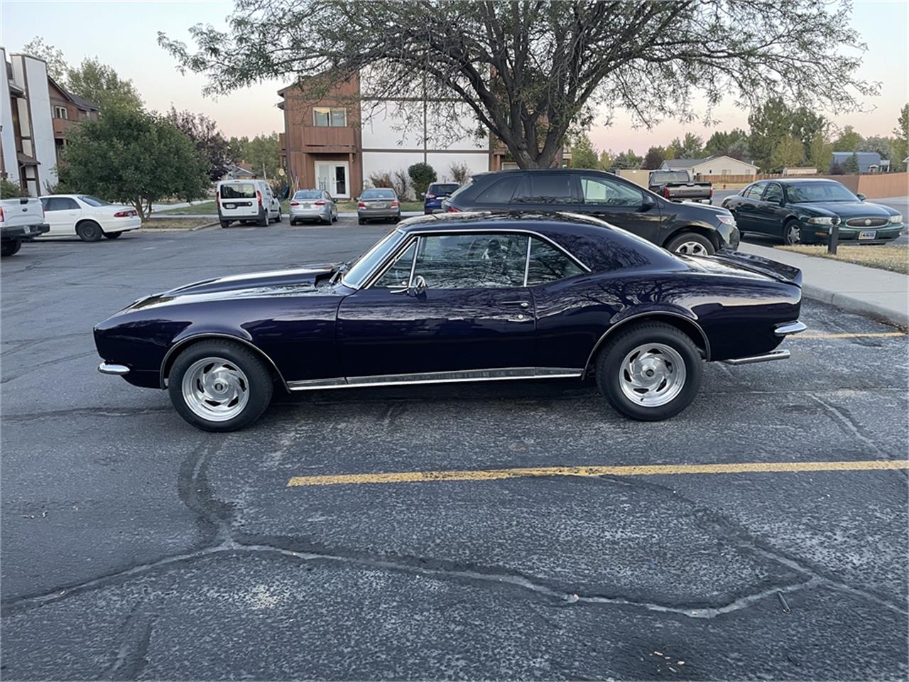 Chevrolet-Camaro-rsss-1967-Royal-Plum-Black-15