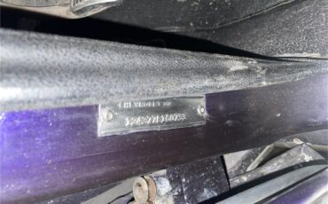 Chevrolet-Camaro-rsss-1967-Royal-Plum-Black-59