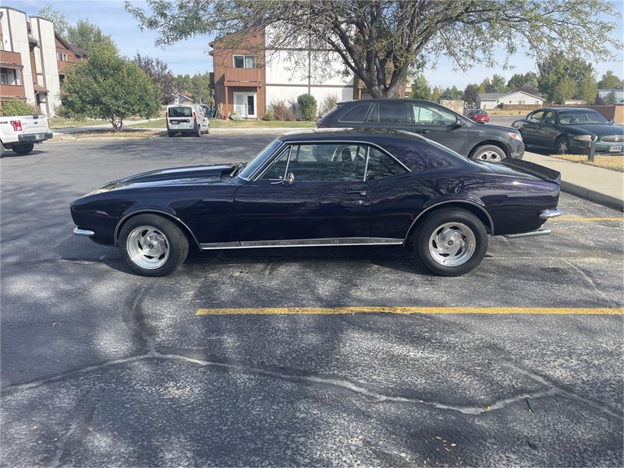 Chevrolet-Camaro-rsss-1967-Royal-Plum-Black-60