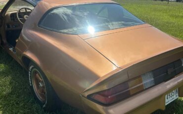 Chevrolet-Camaro-z28-coupe-1978-Brown-Brown-11