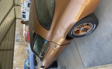 Chevrolet-Camaro-z28-coupe-1978-Brown-Brown-2