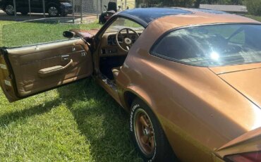 Chevrolet-Camaro-z28-coupe-1978-Brown-Brown